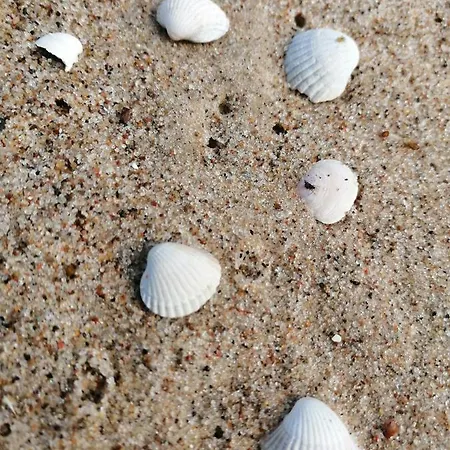 Apartman Apartament Dziwnow *