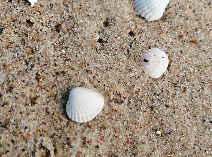 아파트 Apartament Dziwnow *